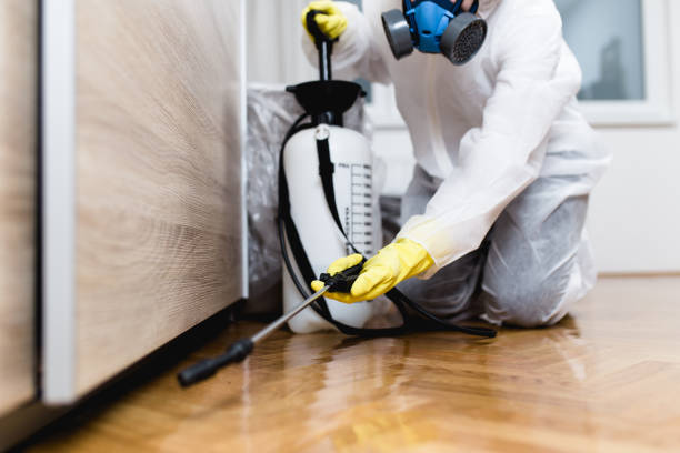 Best Residential Pest Control  in Woodhaven, MI