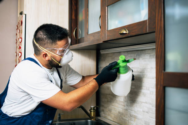 Best Pest Control Near Me in Woodhaven, MI