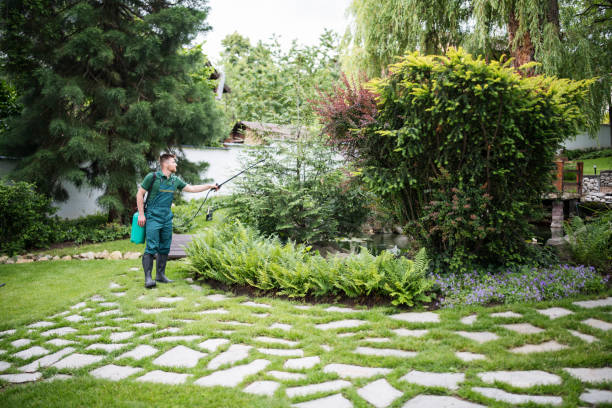 Best Commercial Pest Control Services  in Woodhaven, MI