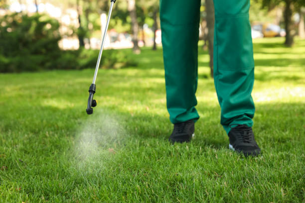 Best Insect Control  in Woodhaven, MI
