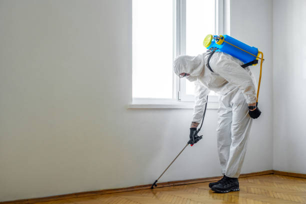 Best Local Pest Control Services  in Woodhaven, MI
