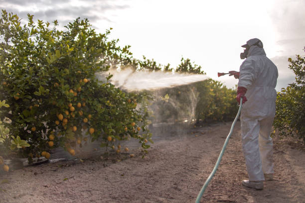 Best Affordable Pest Control Services  in Woodhaven, MI
