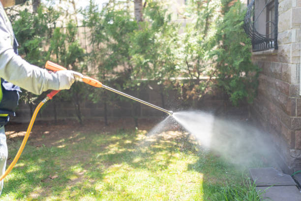Best Wildlife Control Services  in Woodhaven, MI