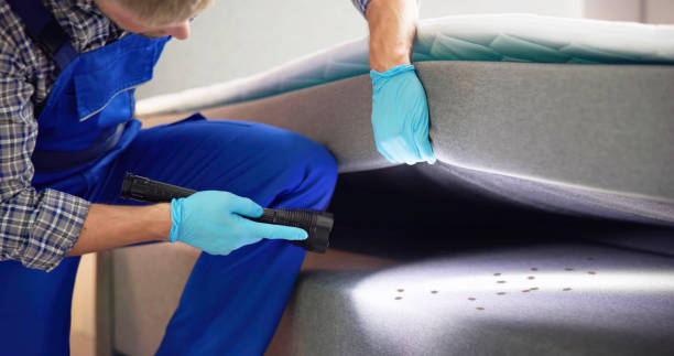 Best Emergency Pest Control  in Woodhaven, MI