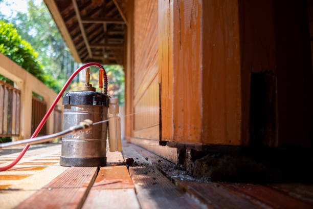 Best Pest Prevention Services  in Woodhaven, MI