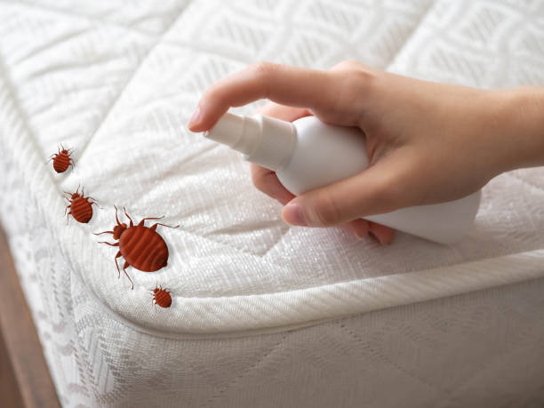 Best Local Pest Control Services  in Woodhaven, MI