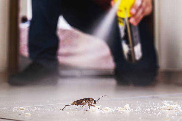 Best Bed Bug Extermination  in Woodhaven, MI