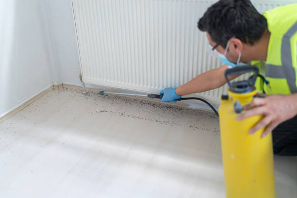 Best Affordable Pest Control Services  in Woodhaven, MI
